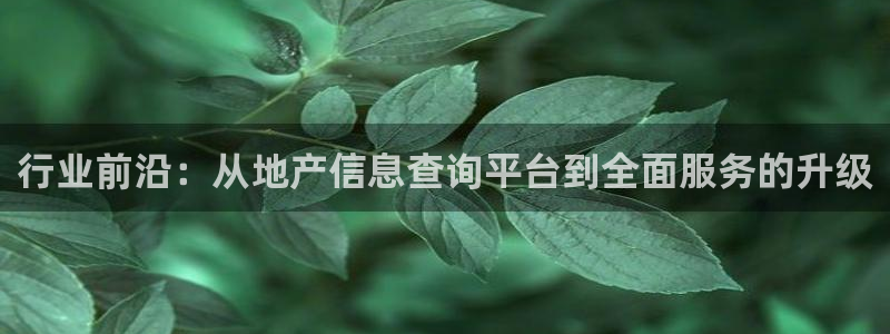 新宝b2O5O5O：行业前沿：从地产信息查询平台到全面服务的