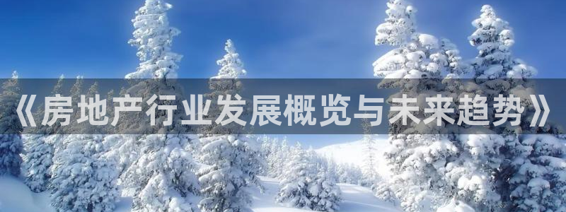 新宝5娱乐注册：《房地产行业发展概览与未来趋势》