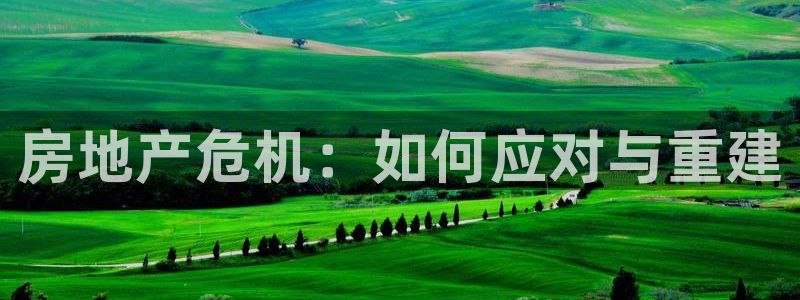 新宝j2O5O5O：房地产危机：如何应对与重建