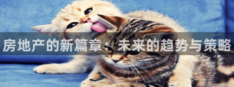 新宝堂新会陈皮5年：房地产的新篇章：未来的趋势与策略