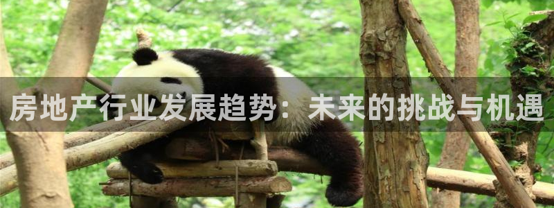 新宝5入口：房地产行业发展趋势：未来的挑战与机遇