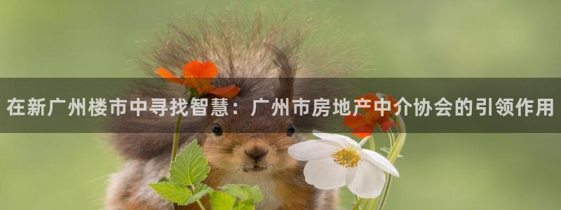 i新宝5：在新广州楼市中寻找智慧：广州市房地产中介协会的引领