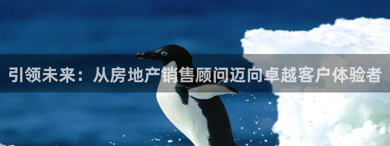 新宝5下载到桌面：引领未来：从房地产销售顾问迈向卓越客户体验