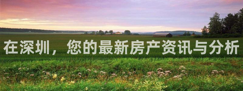 新宝5娱乐然：在深圳，您的最新房产资讯与分析