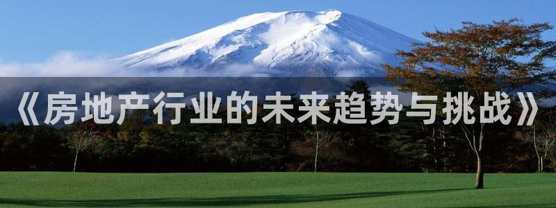 新宝5上70 667：《房地产行业的未来趋势与挑战》