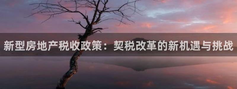 新宝5app手机下载