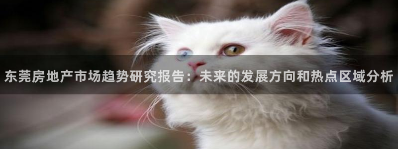 新宝5测速线路：东莞房地产市场趋势研究报告：未来的发展方向和