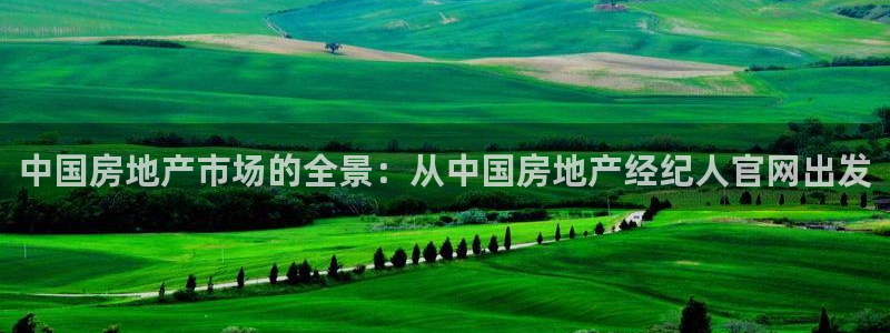 新宝5平台登录下载软件：中国房地产市场的全景：从中国房地产经