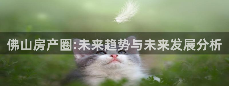 新宝奇迹GG5：佛山房产圈:未来趋势与未来发展分析