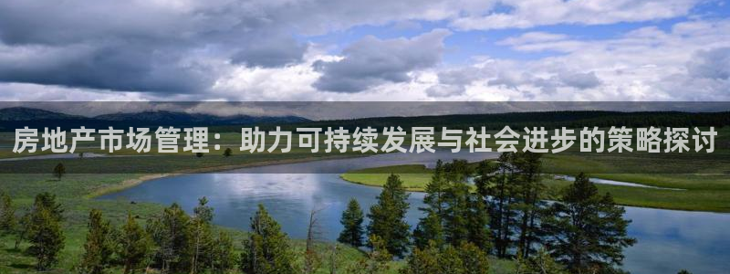 新宝5娱乐然：房地产市场管理：助力可持续发展与社会进步的策略