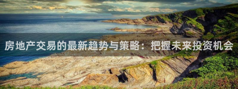新宝5娱乐登陆：房地产交易的最新趋势与策略：把握未来投资机会
