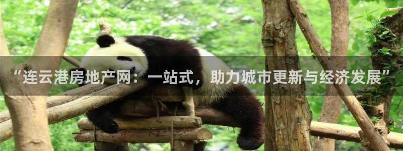 新宝5注册：“连云港房地产网：一站式，助力城市更新与经济发展