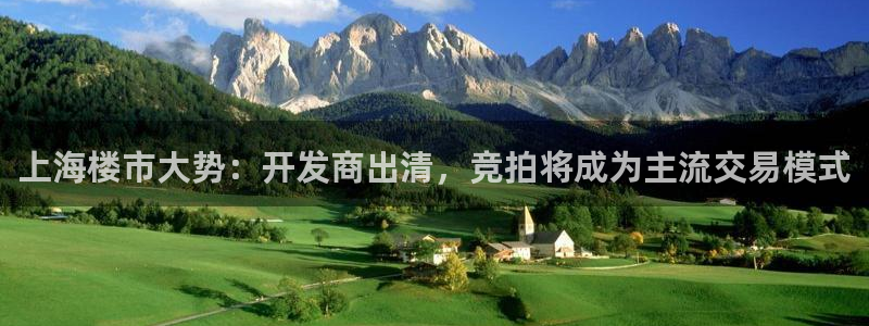 新宝5下载测试：上海楼市大势：开发商出清，竞拍将成为主流交易