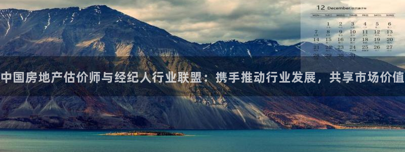 新宝娱乐5：中国房地产估价师与经纪人行业联盟：携手推动行业发