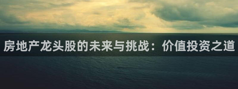 新宝那2O5O5O：房地产龙头股的未来与挑战：价值投资之道