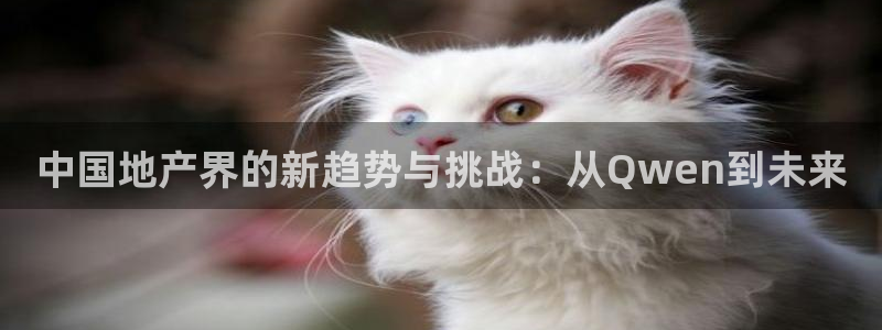 新宝5平台登录下载软件：中国地产界的新趋势与挑战：从Qwen