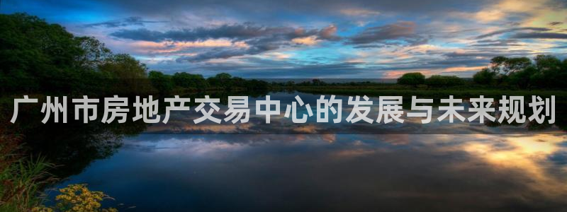 新宝5是谁：广州市房地产交易中心的发展与未来规划