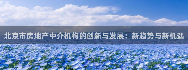 新宝5台卡：北京市房地产中介机构的创新与发展：新趋势与新机遇