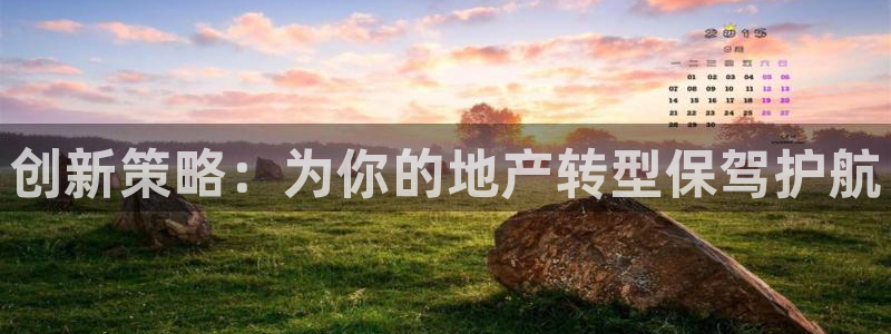 新宝5系列：创新策略：为你的地产转型保驾护航