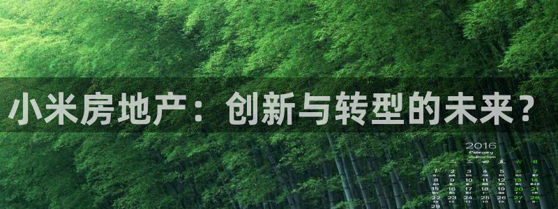 新宝5源码：小米房地产：创新与转型的未来？