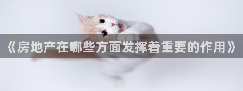 新宝5娱乐注：《房地产在哪些方面发挥着重要的作用》