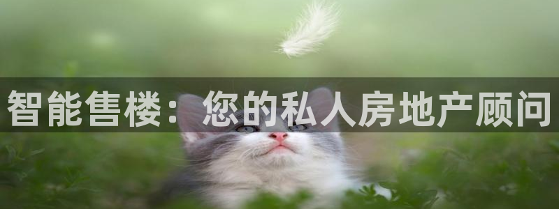 新宝5电脑：智能售楼：您的私人房地产顾问