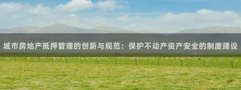 新宝5线路登录：城市房地产抵押管理的创新与规范：保护不动产资