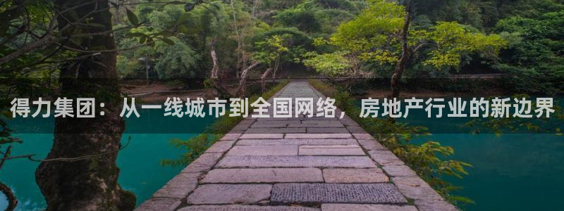 新宝测速5：得力集团：从一线城市到全国网络，房地产行业的新边