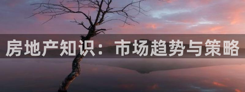 新宝rc_5w：房地产知识：市场趋势与策略