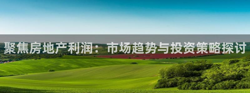 新宝5如何注册登录：聚焦房地产利润：市场趋势与投资策略探讨