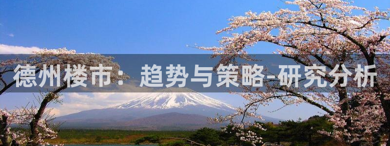新宝5平台登录注册：德州楼市：趋势与策略-研究分析