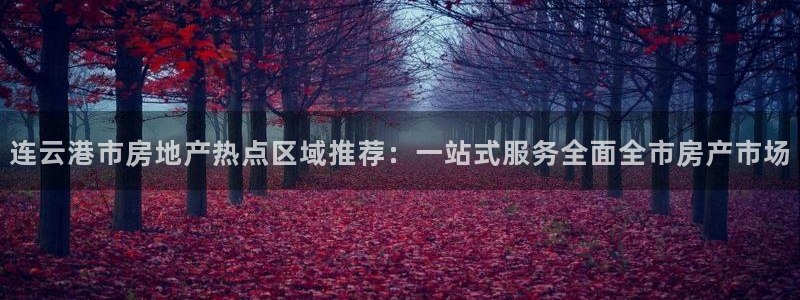 新宝5是谁的：连云港市房地产热点区域推荐：一站式服务全面全市