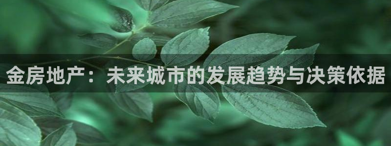 新宝rm5：金房地产：未来城市的发展趋势与决策依据