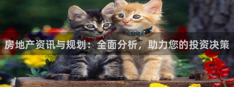 新宝5下载：房地产资讯与规划：全面分析，助力您的投资决策