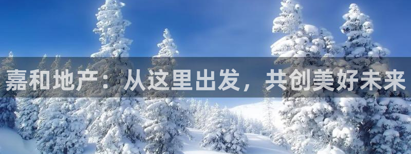 新宝5怎么代理：嘉和地产：从这里出发，共创美好未来