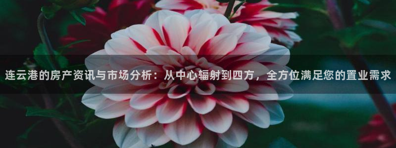 菲律宾新宝5老板：连云港的房产资讯与市场分析：从中心辐射到四
