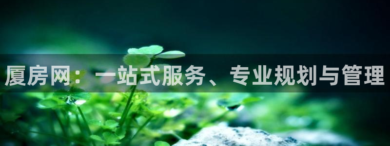 新宝5主管：厦房网：一站式服务、专业规划与管理