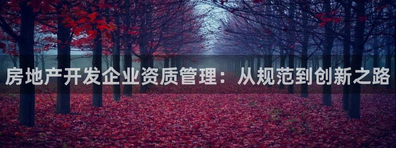 新宝5手机登陆：房地产开发企业资质管理：从规范到创新之路