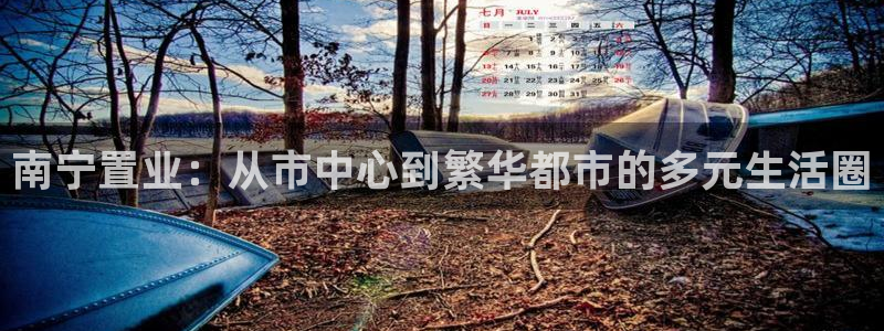 新宝5怎么代理：南宁置业：从市中心到繁华都市的多元生活圈