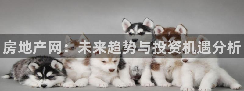 新宝5客户端登录：房地产网：未来趋势与投资机遇分析