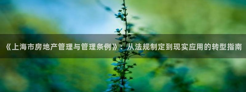 新宝5注册测速登录：《上海市房地产管理与管理条例》：从法规制