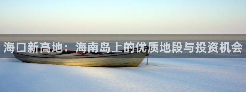 新宝5线路登录：海口新高地：海南岛上的优质地段与投资机会