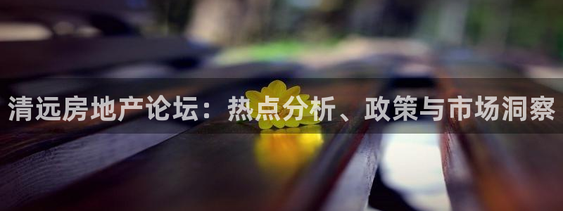 新宝5官网67五壹叁八：清远房地产论坛：热点分析、政策与市场