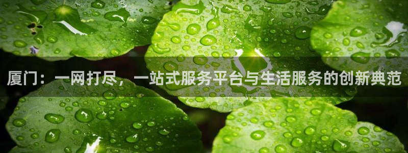 新宝5招商222111：厦门：一网打尽，一站式服务平台与生活