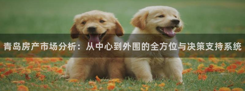 新宝5口67五壹叁八：青岛房产市场分析：从中心到外围的全方位