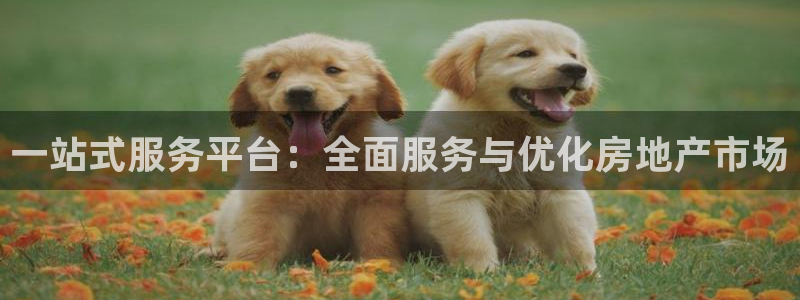 新宝5下载到桌面：一站式服务平台：全面服务与优化房地产市场