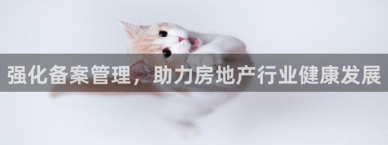 新宝5开户：强化备案管理，助力房地产行业健康发展