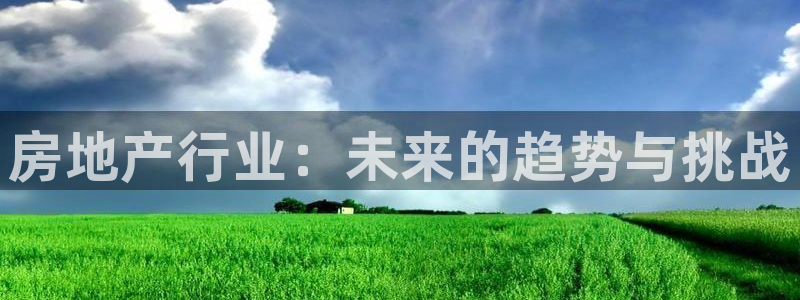 新宝5褚32OO59：房地产行业：未来的趋势与挑战