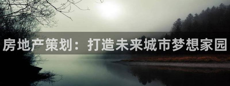 新宝5娱乐登录：房地产策划：打造未来城市梦想家园