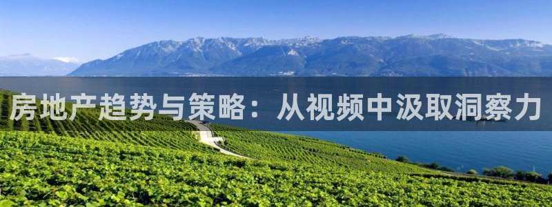 新宝5客户端登录：房地产趋势与策略：从视频中汲取洞察力